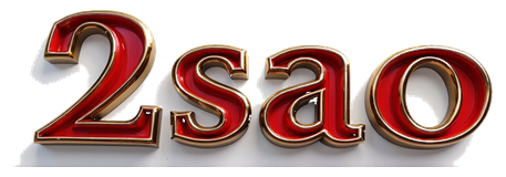 2sao logo